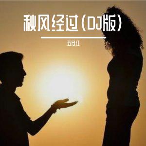 秋风经过（DJ任夏版）