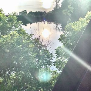 Peppy the Surfing Shark