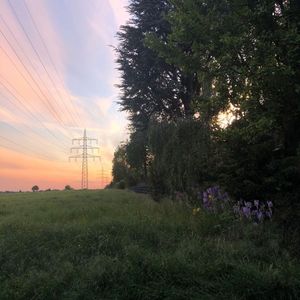 I hope all of this is a dream.