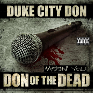 Missing You (feat. Rigo Luna)