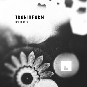 Kwadrat (Original Mix)