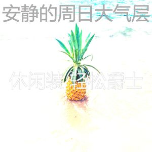 柔和的假期时刻