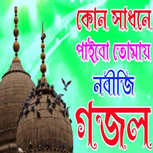 কোন সাধনে পাইবো তোমায় নবীজি