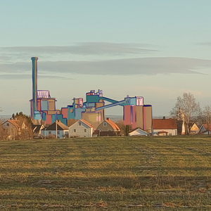 Gråsparvens äventyr