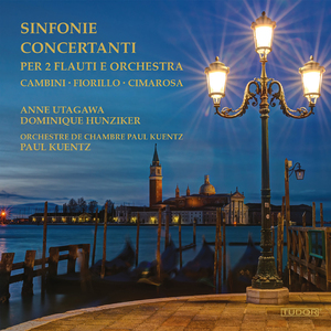 Symphony concertante No. 1 in G Major: II. Rondo. Allegretto