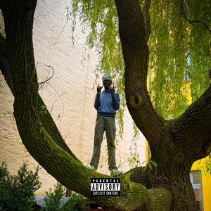 (max) (feat. hanProdusenten & Store K)