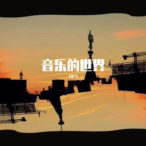 音乐的世界