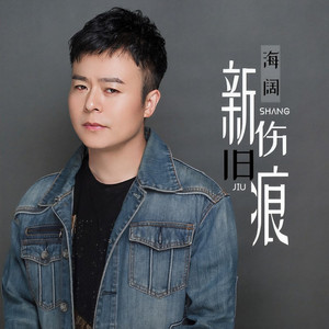 新伤旧痕 (DJ童波版)