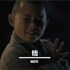 踢出个未来（CV刘德华）