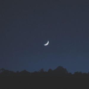 SILENT NIGHT (feat. DEXTHMANE)