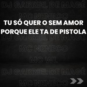 Tu Só Quer o Sem Amor Porque Ele Ta de Pistola