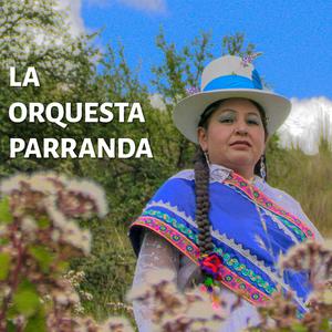 La Orquesta (Parranda Musical)