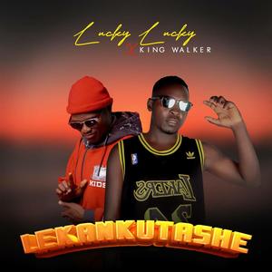 Lekankutashe (feat. King Walker)