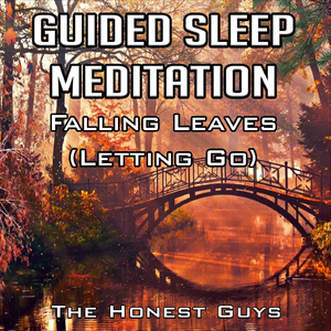 Guided Sleep Meditation: Falling Leaves (Letting Go)