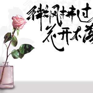 微风拂过，花开不落