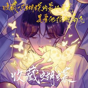 收藏蝴蝶