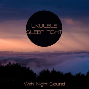Continuity (with Night Sound)