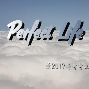 Perfect Life