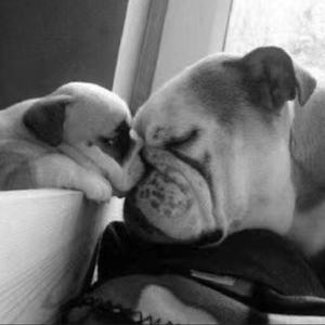 8d908635243424678d07f7120927ea7f [vocals]