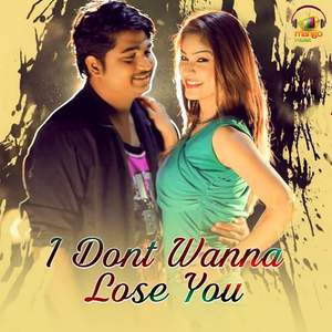 I Don'T Wanna Lose You