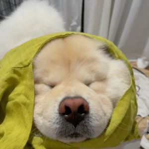 &.(prod by ANGER&Siren)