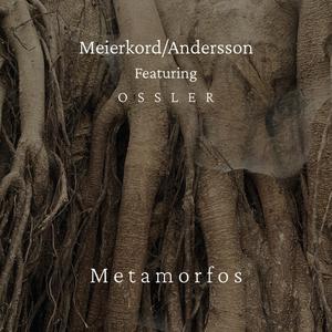 Transition (feat. Ossler)