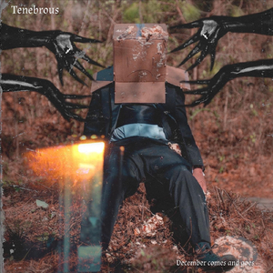 December Comes and Goes