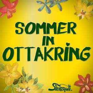 Sommer In Ottakring