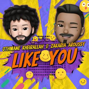 Like You (feat. Otmane Kheirallah)