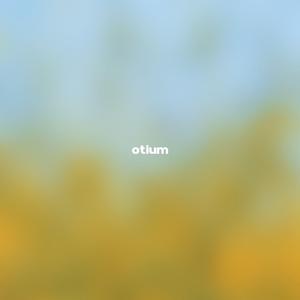 Warm Light (Meditation)