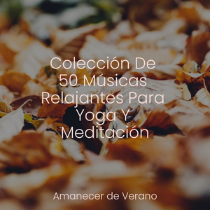 El Viaje Relajado del Resplandor Dorado