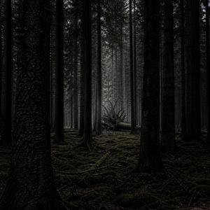 Black Forest