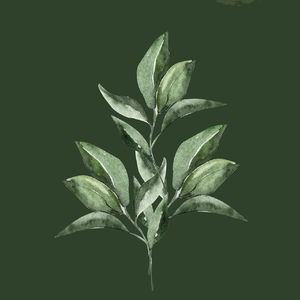 妈妈，我的人生是旷野，不是轨道