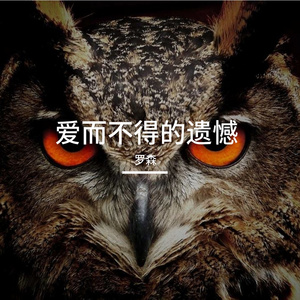 爱而不得的遗憾