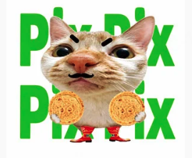 PIX PIX