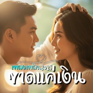 ขาดแค่เงิน