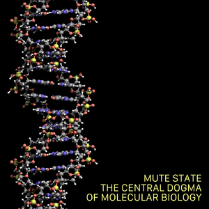 The Central Dogma of Molecular Biology