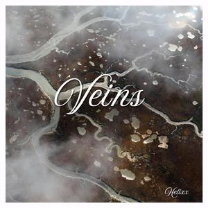 Veins (Extended Mix)