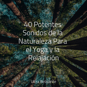 Vibraciones Tranquilas