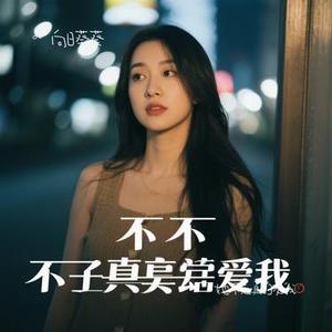 她不是真的爱我 (向日葵葵 Remix)