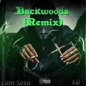 Backwoods (feat. Kø) (Remix)