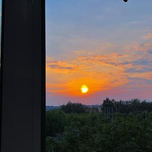 树读（吉他弹唱）