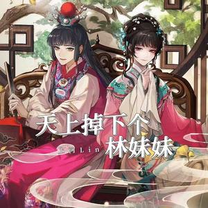 天上掉下个林妹妹