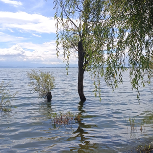 等候青春却错过你