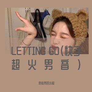 LETTING GO（快手超火男音）