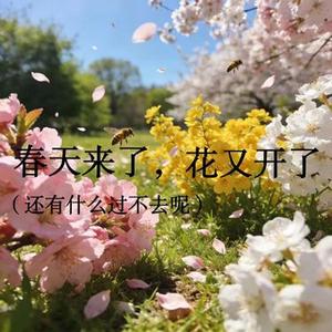 春天来了，花又开了