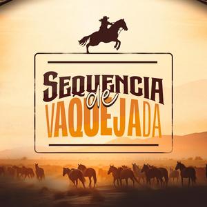 Sequencia de Vaquejada