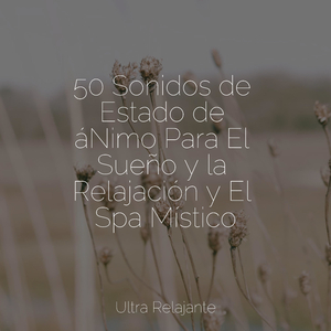 Recuerdos De Cascada