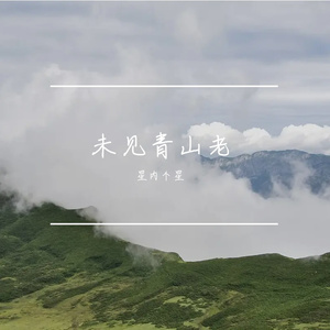 未见青山老