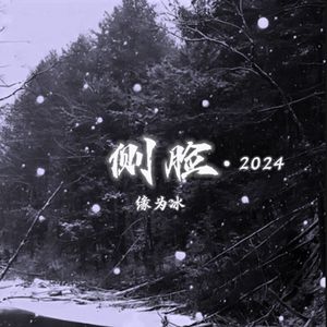 侧脸·2024(0.8X)
